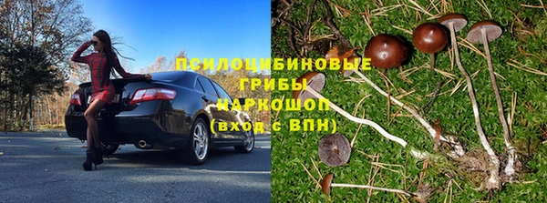 мескалин Ладушкин