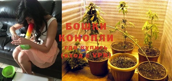 амф Кулебаки