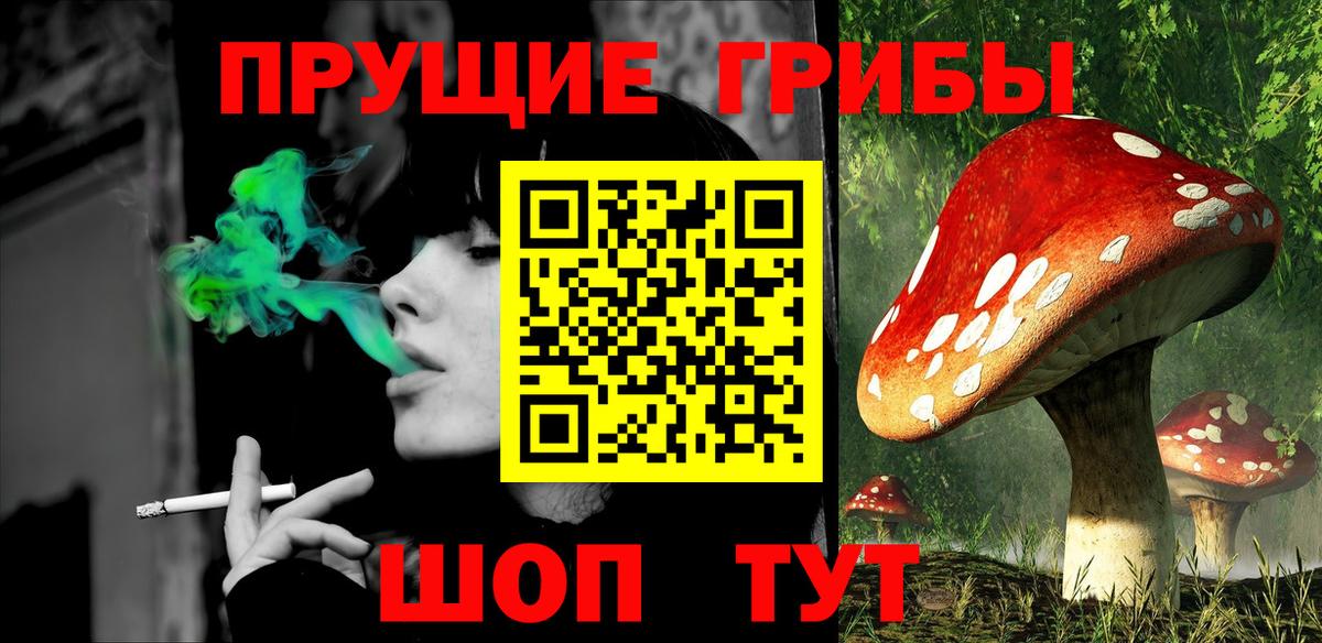 Кудымкар  Псилоцибиновые грибы мухоморы  Вход с VPN 