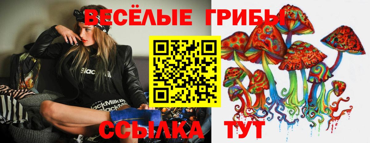 Псилоцибиновые грибы мицелий Кудымкар